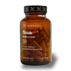Šišák bajkalský