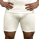 SPORT NANO shorts .men