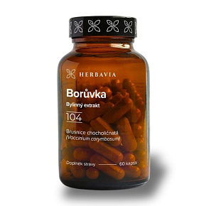 Borůvka