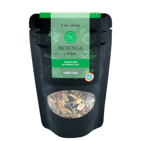 Moringa - forest scent Moringa - forest scent