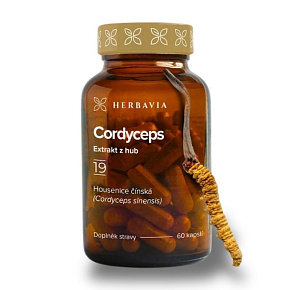 Cordyceps