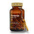 Cordyceps