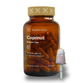 Coprinus